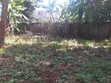 Maisonette ya Vyumba 7 na Sebule ya Wageni Ngong CBD - 4