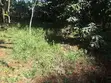 Maisonette ya Vyumba 7 na Sebule ya Wageni Ngong CBD - 5