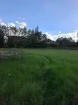 Prime Half Acre Residential Land for Sale in Karen - 1