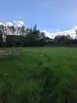 Prime Half Acre Residential Land for Sale in Karen - 2