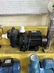 Aico Japan 1.5HP Pump ya Swimming Pool (366L/min, 25m) - 2