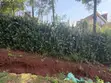 Vipande vya Robo Eka kwa Uuzaji Ngong CBD - 3