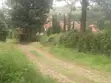 Quarter Acre Residential Plots for Sale in Ngong - 4