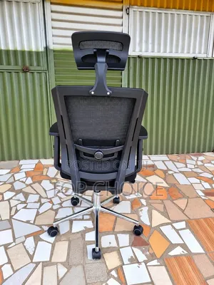 Kiti cha Ofisi cha Ergonomic cha Mesh chenye Headrest