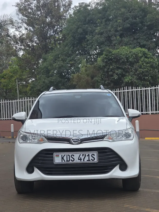 Toyota Corolla Fielder 2019 Burgundy - 1