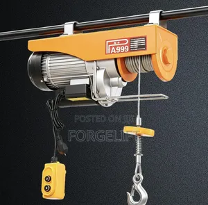 1-Tani Electric Hoist