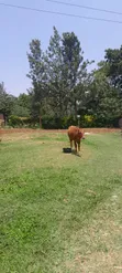 0.25 Hectares Land for Sale in Gimarakwa Village - 3