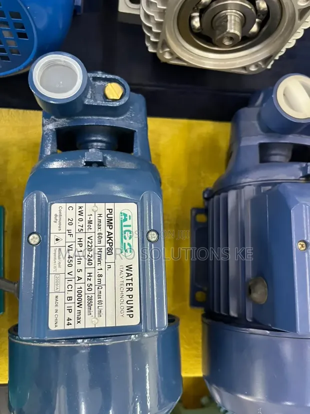 Heavy Duty AICO 1HP Water Pump (AKP80) for Home & Irrigation - 1