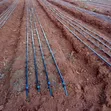 Double Emitter Dripline (1000m) - 1