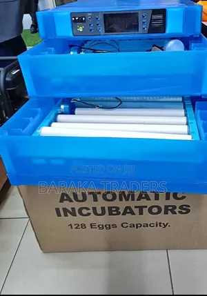 128 Hatchery ya Mayai