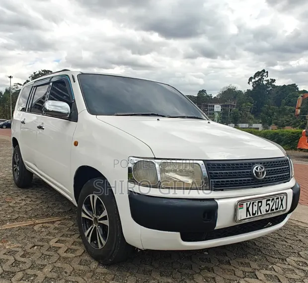 Toyota Probox 2011 White - 1