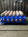 Kiuna Farm Kienyenji Eggs - 2