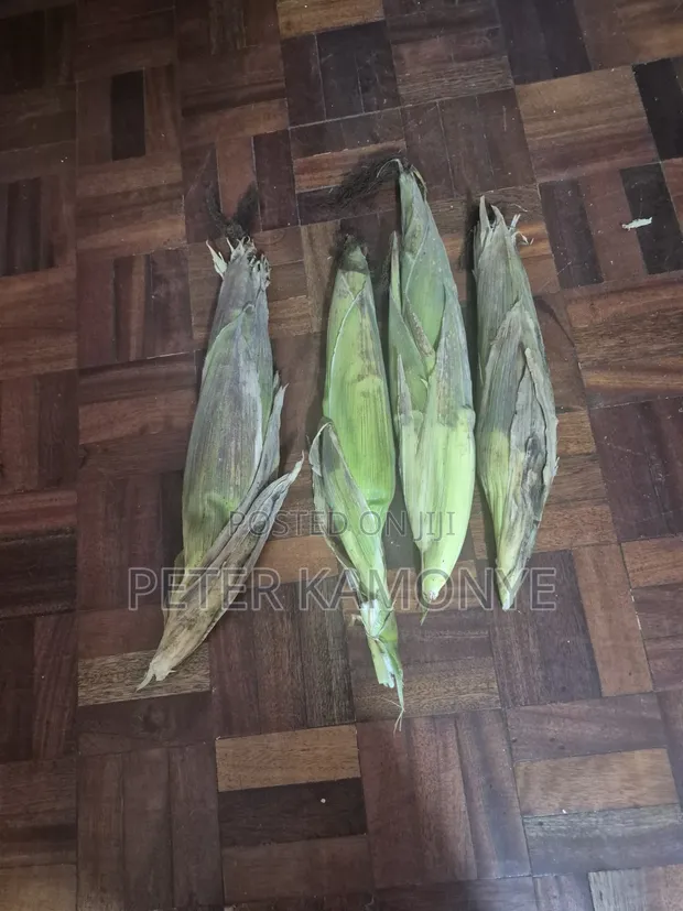 Mahindi Mabichi Safi - 1