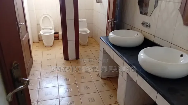 Stained Sinks & Toilet Basins Cleaning Service - 1