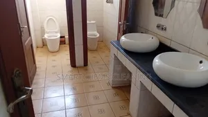 Stained Sinks & Toilet Basins Cleaning Service