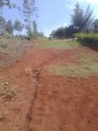 Quarter Acre Land for Sale in Karia, Nderi - 2
