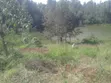 Quarter Acre Land for Sale in Karia, Nderi - 3