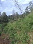 Quarter Acre Land for Sale in Karia, Nderi - 5
