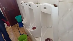 Urinal Bowl Stain Removal Service