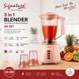 Signature Blender 3-in-1 - 1