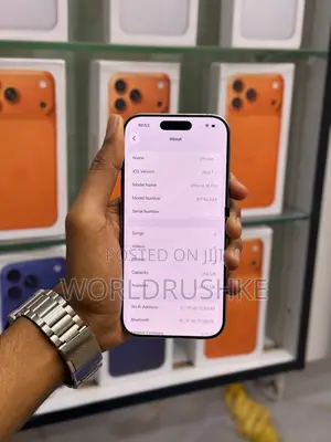 Apple iPhone 16 Pro 256GB Gray