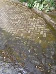 Cabros Scrubbing Services by Smartchems - 2