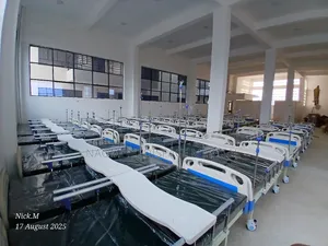 Kitanda cha Hospitali cha ABS cha Crank Mbili Kilichoagizwa na Godoro