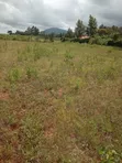 Ardhi Inauzwa - 3/8 Eka, Barabara ya Mai Mahiu - 1