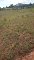 Ardhi Inauzwa - 3/8 Eka, Barabara ya Mai Mahiu - 2