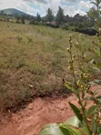 Ardhi Inauzwa - 3/8 Eka, Barabara ya Mai Mahiu - 3