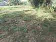 Vipande vya Kibiashara vya Robo Eka kwa Uuzaji, Ongata Rongai - 4