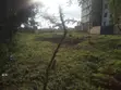 Vipande vya Kibiashara vya Robo Eka kwa Uuzaji, Ongata Rongai - 5