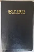 Biblia Takatifu Toleo Jipya (NIV) - 1