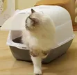 Hooded Cat Litter Box - 2