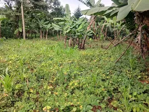 5 Acres Farmland for Sale in Murang'a Kambirwa