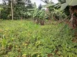 Eka 5 za Mashamba kwa Uuzaji Murang'a Kambirwa - 1