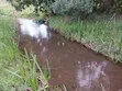Eka 5 za Mashamba kwa Uuzaji Murang'a Kambirwa - 2