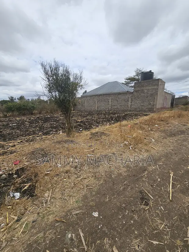 Kiwanja 40x80 cha Kuuzwa na Mmiliki, 7km kutoka Thika Road Mang'u Exit - 1