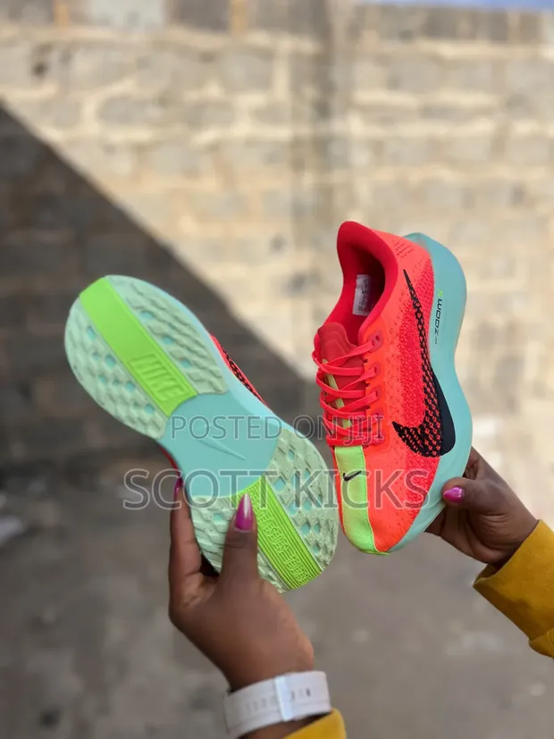 Nike Pegasus Plus Trainers - 1