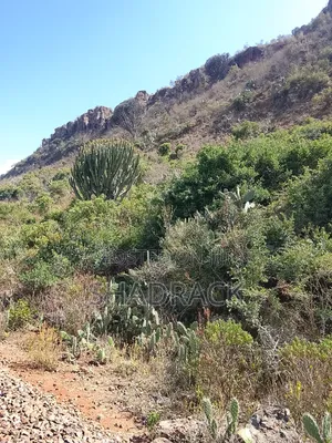 75 Acre Land for Sale in Gilgil Near Kekopey Secondary