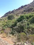 75 Acre Land for Sale in Gilgil Near Kekopey Secondary - 1