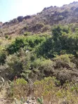 75 Acre Land for Sale in Gilgil Near Kekopey Secondary - 5