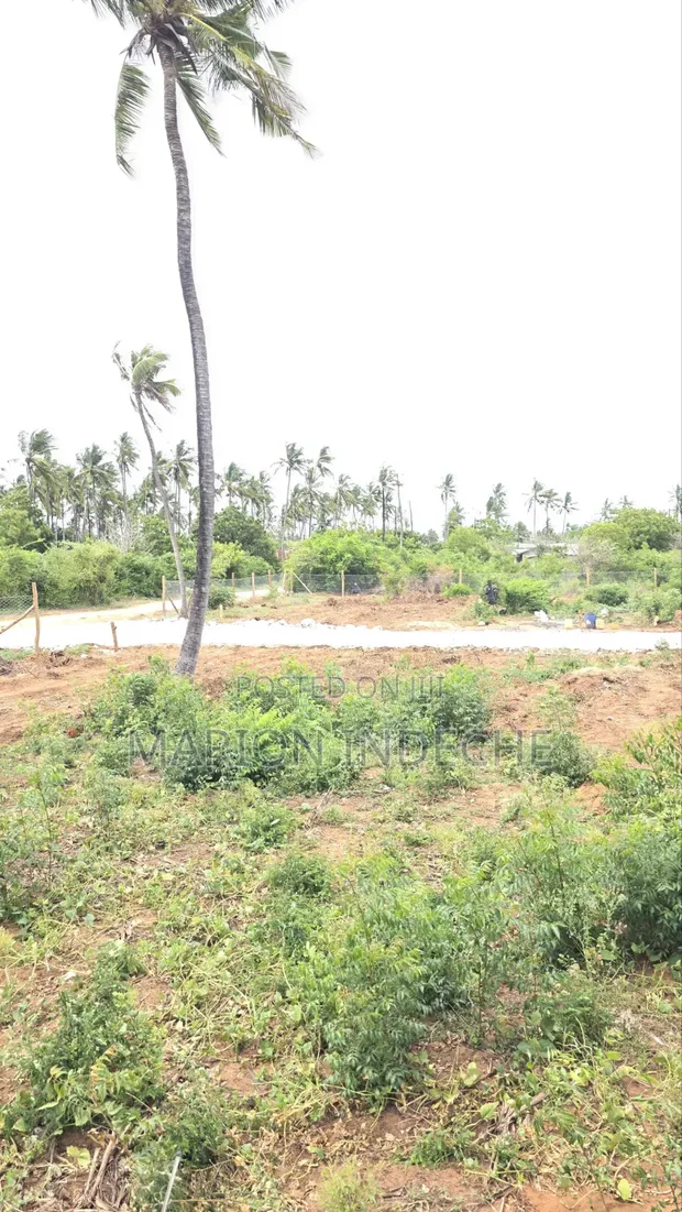 Vipande Bora vya 50x100ft kwa Uuzaji Kilifi Chumani - 1