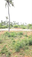 Vipande Bora vya 50x100ft kwa Uuzaji Kilifi Chumani - 1