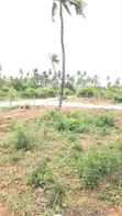 Vipande Bora vya 50x100ft kwa Uuzaji Kilifi Chumani - 2