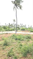 Vipande Bora vya 50x100ft kwa Uuzaji Kilifi Chumani - 3