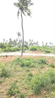 Vipande Bora vya 50x100ft kwa Uuzaji Kilifi Chumani - 4