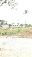 Vipande Bora vya 50x100ft kwa Uuzaji Kilifi Chumani - 5