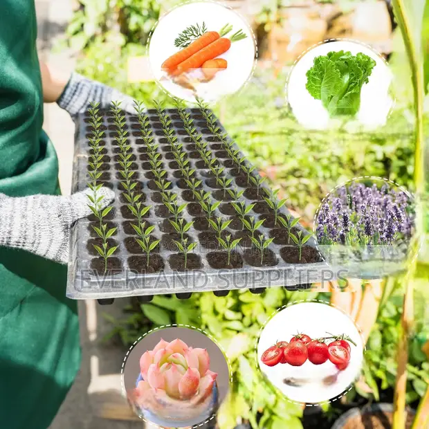 Greenhouse Seedling Trays - 1