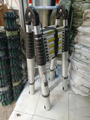 Double Telescopic Ladder 8.4m